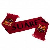 ���� ��������� Scarf Suarez