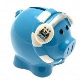 ������� ��������� ����