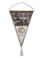 ������ 110 ��� ���� (1911-2021)