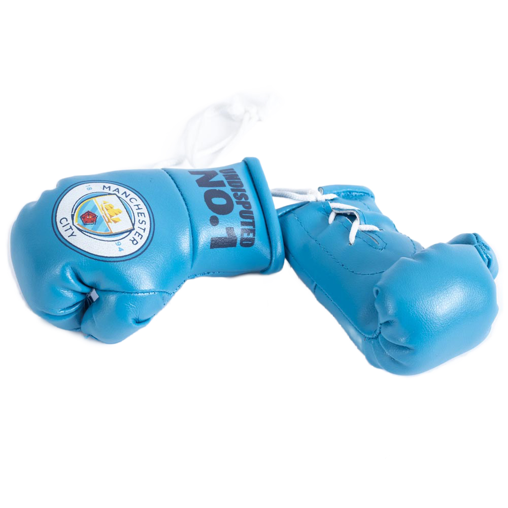      Mini Boxing Gloves