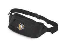    NHL Pittsburgh Penguins 58124 