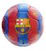 ��� ��������� Signature Football EQ