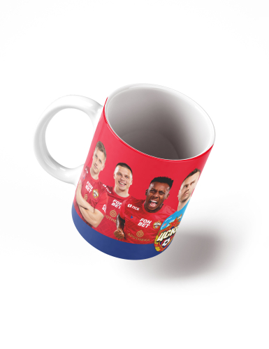 ������ ���� ������� 2024/2025