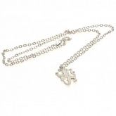   Silver Plated Pendant & Chain LN