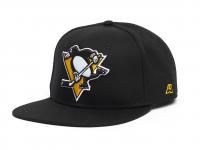   NHL Pittsburgh Penguins 31082   