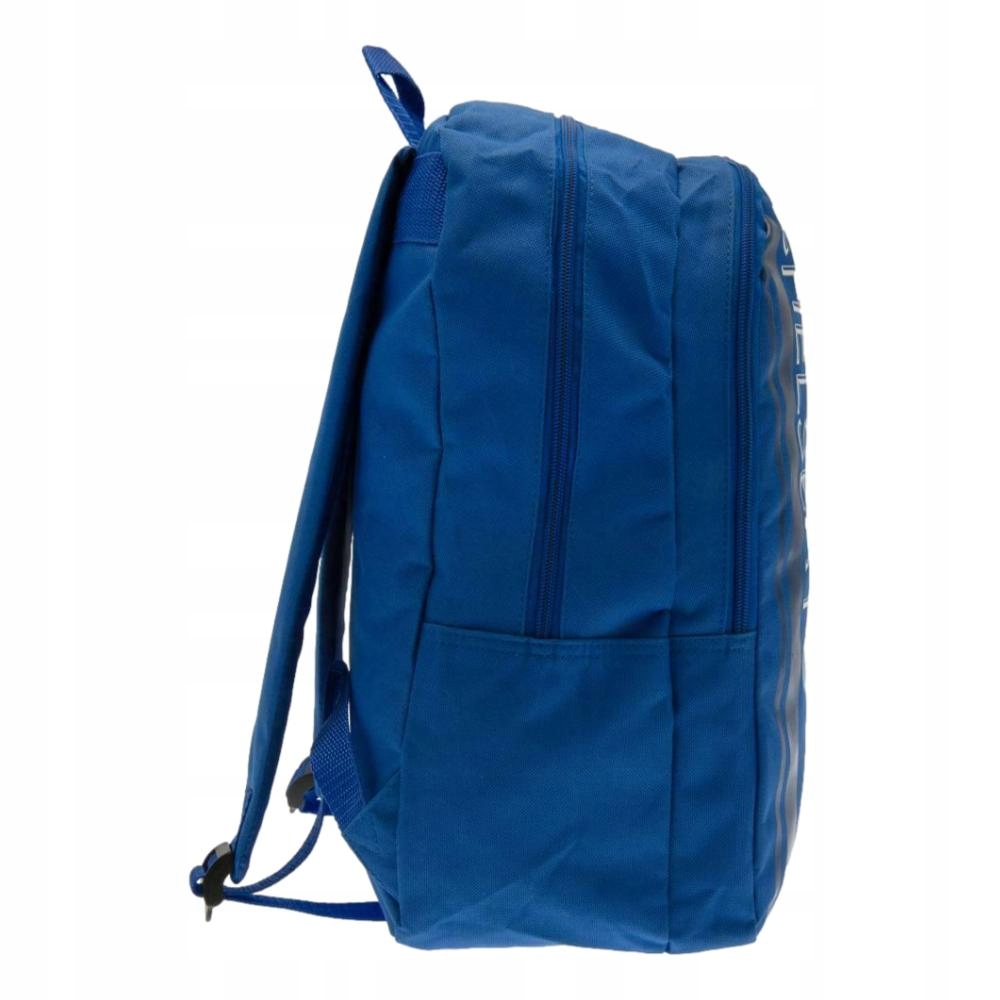 ������ ����� Stripe Backpack