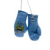      Mini Boxing Gloves