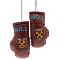      Mini Boxing Gloves