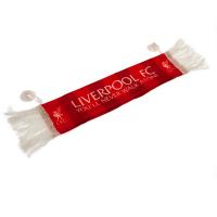      Mini Car Scarf YNWA