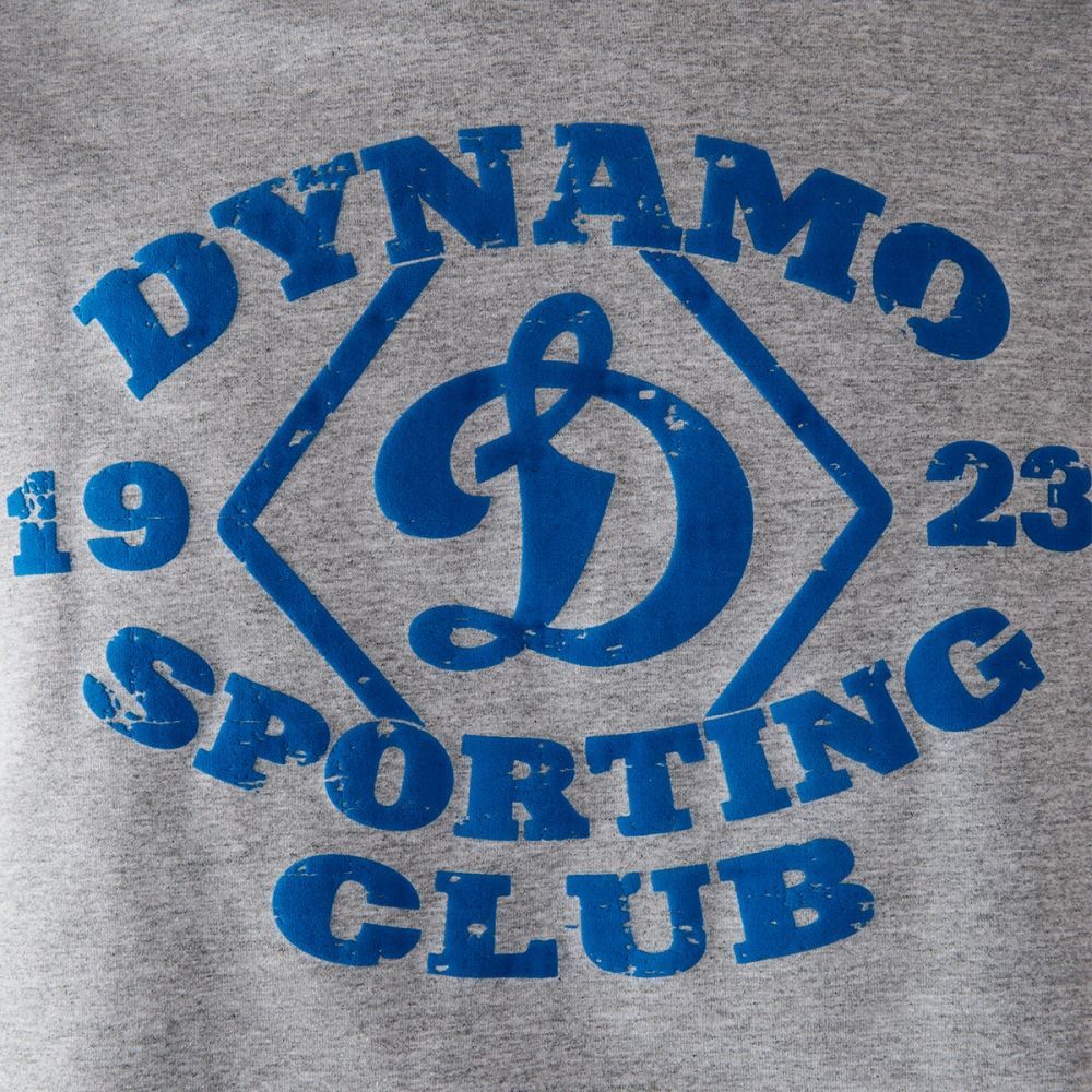 Толстовка Динамо "Dynamo-SportClub", серая с капюшоном
