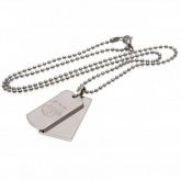   Double Dog Tag & Chain