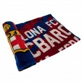 ���� ��������� Fleece Blanket IP