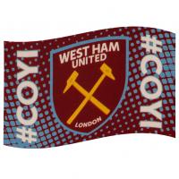    COYI Flag