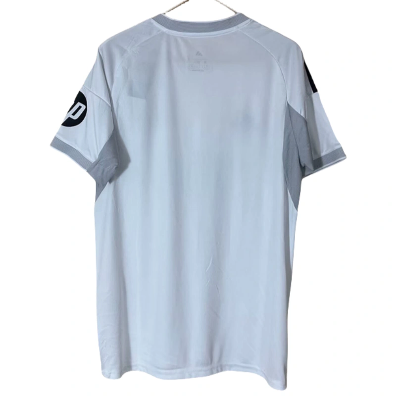     2025/2026  (Fan version)