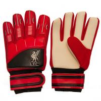     Goalkeeper Gloves Kids DT, 7-9 