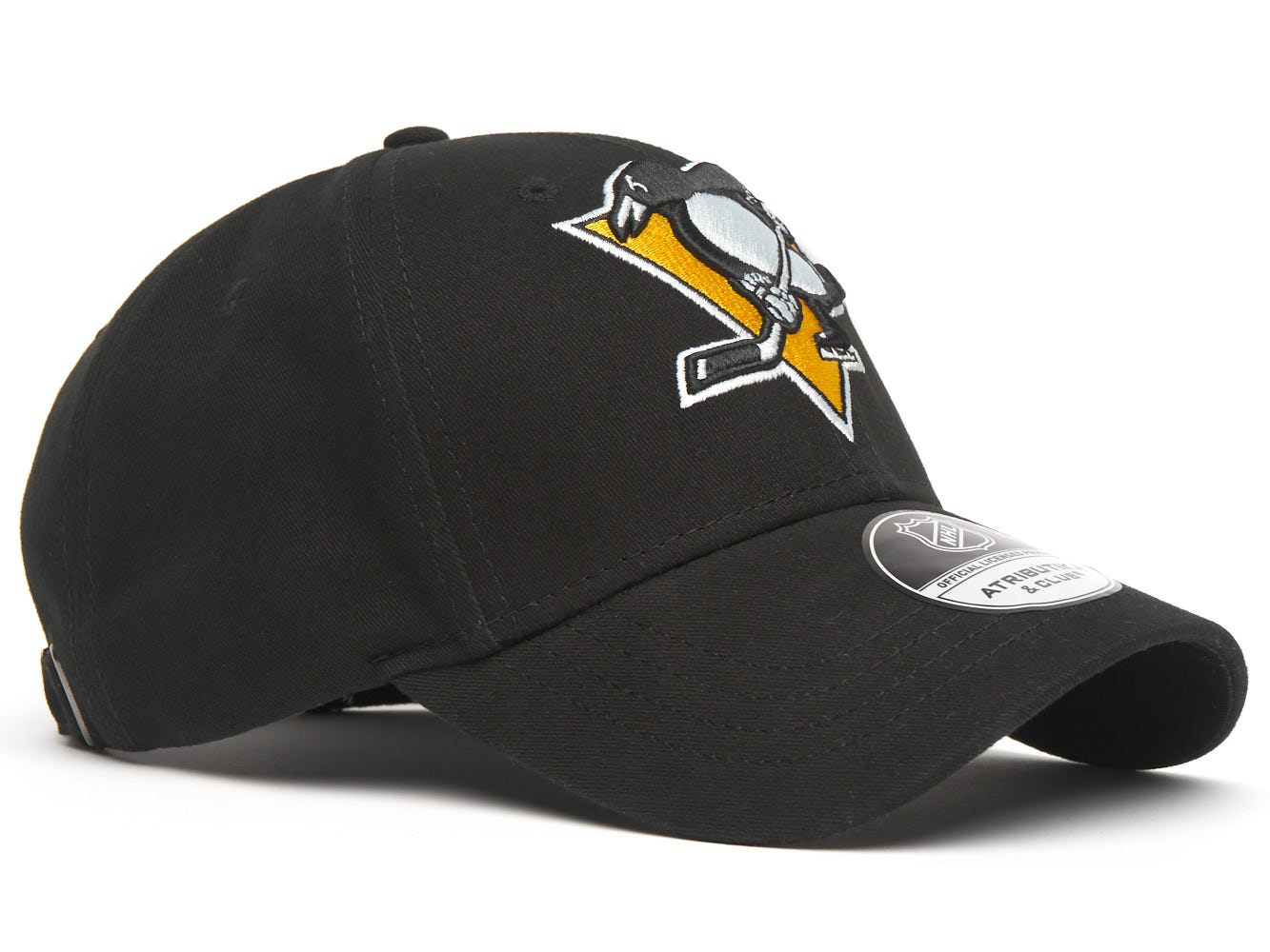  Pittsburgh Penguins 29085