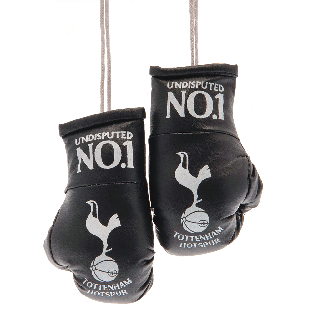     Mini Boxing Gloves