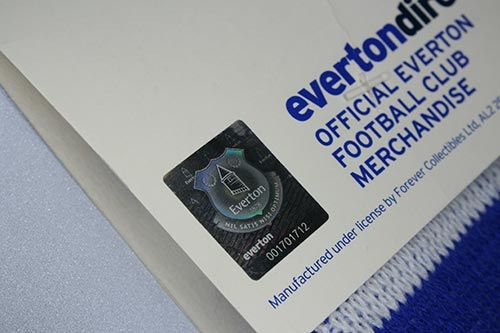 Шарф Эвертон Scarf WH