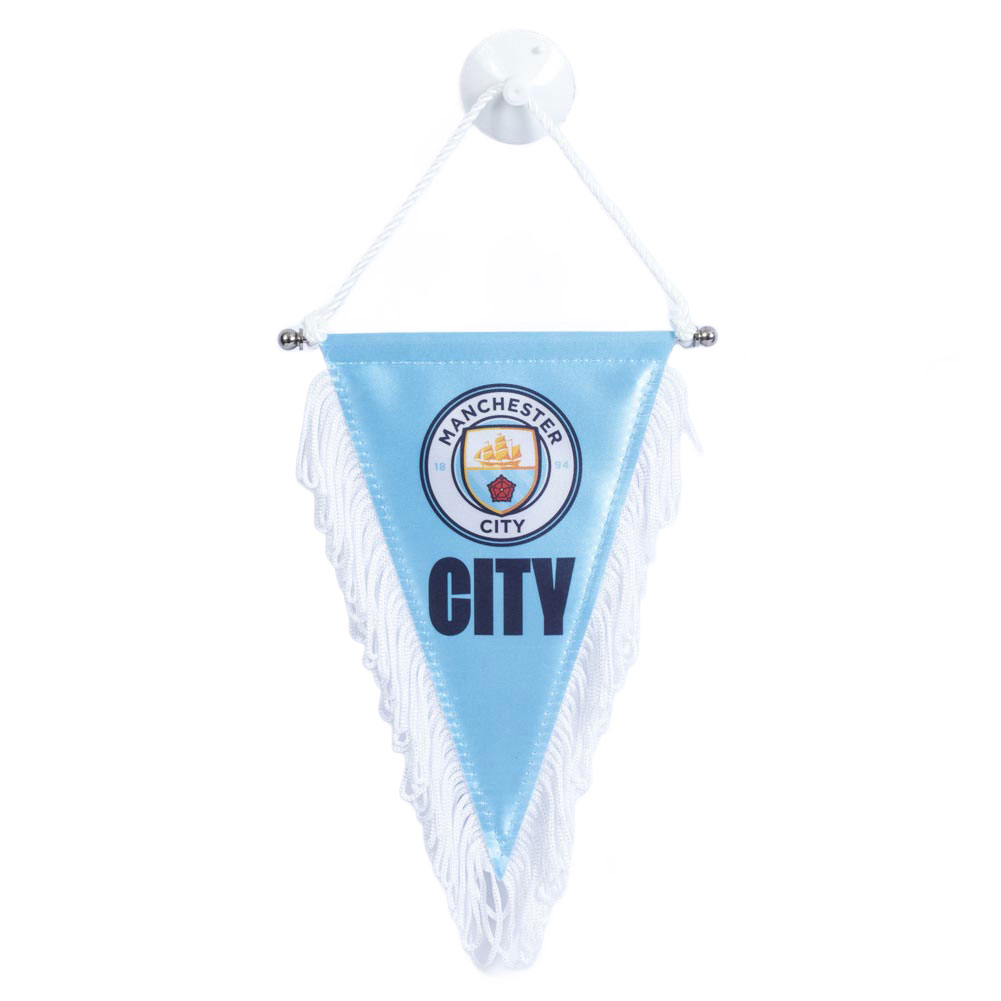 ������ ��������� ���� Triangular Mini Pennant
