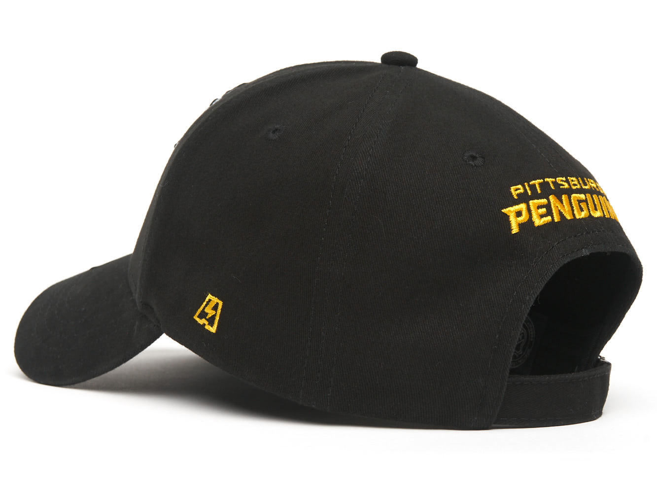  Pittsburgh Penguins 29085