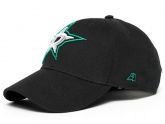  NHL Dallas Stars 28179