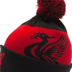 Шапка Ливерпуль Quick Check Ski Hat BK