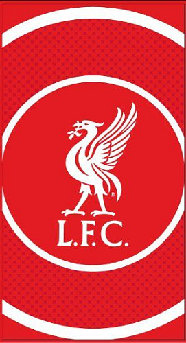 Полотенце Ливерпуль Towel BE