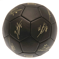 Мяч Арсенал Football Signature Gold PH