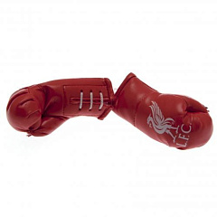 Мини боксерские перчатки Ливерпуль Mini Boxing Gloves