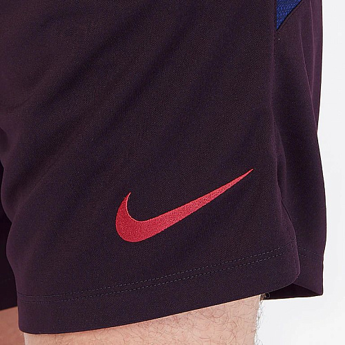 Шорты Барселона Nike 2019/20 AO5216-659