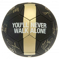 Мяч Ливерпуль Premier League Champions Football Signature PH