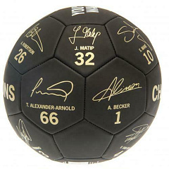 Мяч Ливерпуль Premier League Champions Football Signature PH