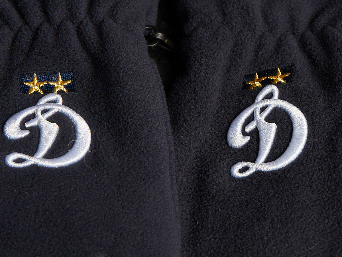 Перчатки Динамо 95208 синие, размер 8