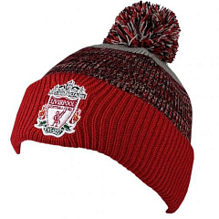Шапка Ливерпуль Ferndale Ski Hat GR